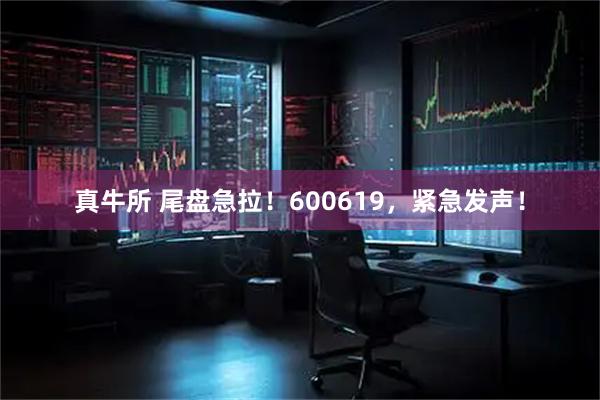 真牛所 尾盘急拉！600619，紧急发声！