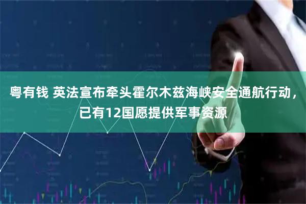 粤有钱 英法宣布牵头霍尔木兹海峡安全通航行动，已有12国愿提供军事资源