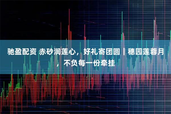 驰盈配资 赤砂润莲心，好礼寄团圆｜穗园莲蓉月，不负每一份牵挂